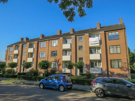 Te huur: Appartement Herman Boerhaavelaan in Deventer - Photo 1