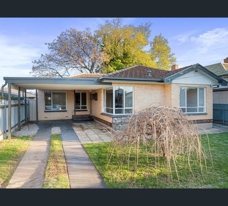 15 McKay Street, Dover Gardens, SA 5048 - Photo 2