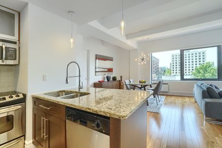 Condo for rent, Montréal (Ville-Marie) - Photo 5