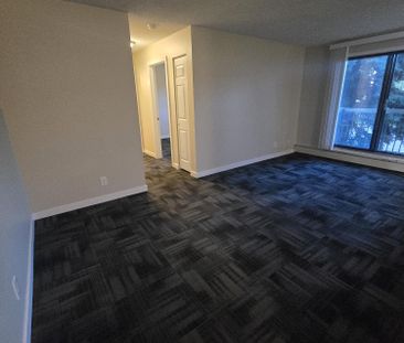 Modern 1 Bedroom Apartment Downtown Available Now - Photo 2