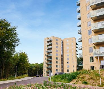 Bredhøj, 4 6.th., Silkeborg, 8600 - Photo 1