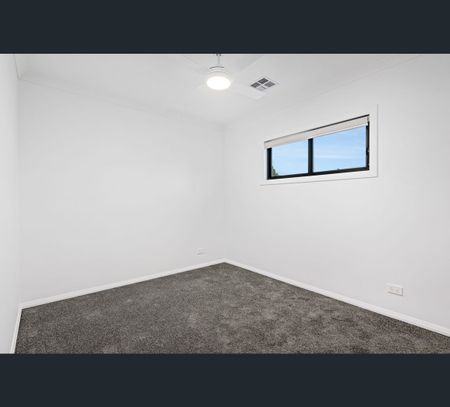 377 Day Street, West Albury, NSW 2640 - Photo 5