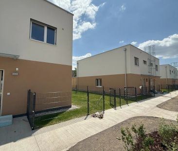 Doppelhaushälfte mit Terrasse und Garten, Top 15A - Photo 3