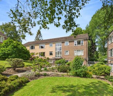 2 Bed Flat, Dobbin Hill, S11 - Photo 6