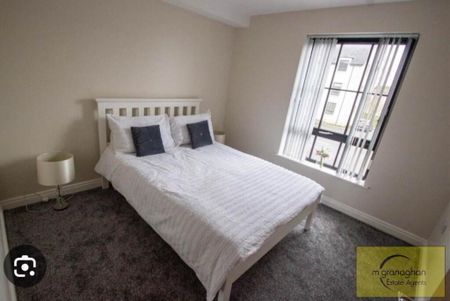 Apt 6, Lady Wallace Court, Lisburn, BT28 3GU - Photo 3
