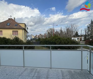 Location Appartement 2 pièces 41m² LINGOLSHEIM 67380 - Photo 1