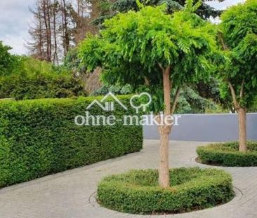 Schöne 3,5 Zimmer Wohnung in BS-Querum - Foto 5