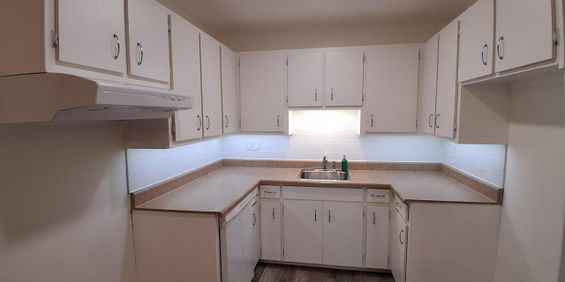Immeuble - 1765 Rue Des Boisés Joli 4 1/2 Près De L'Université De Sherbrooke - Photo 3