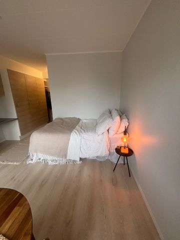 Brunnshögsgatan, Lund - Foto 3