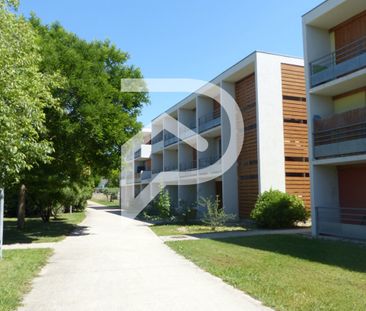 Studio résidence Les Cyclades Montfavet - Photo 5