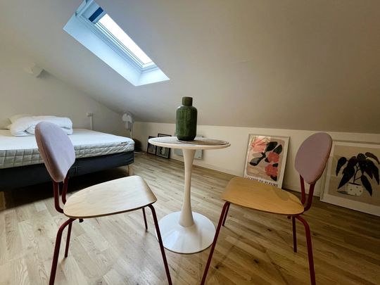 PAU CENTRE-VILLE - STUDIO - Photo 1