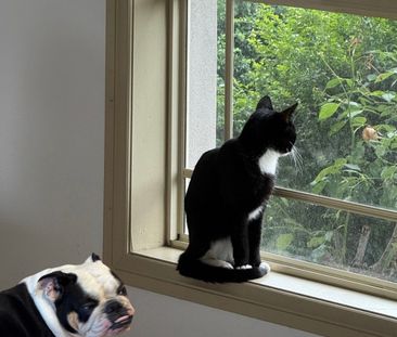 Craigieburn - Photo 6