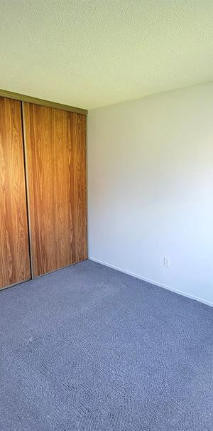 45 Rue Du Curé-André-Préseault (Gatineau) Grand Logement 1 Chambre - Photo 1