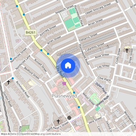 Pearson Street, CF24 3EL, Roath