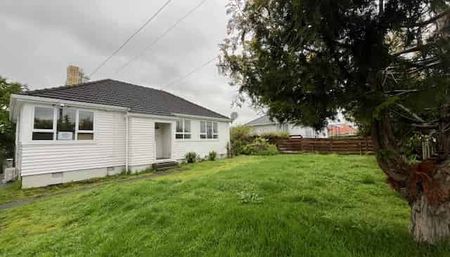 Renovated 3-Bedroom Home on Large Fully Fenced Section - Pets Considered - Photo 3