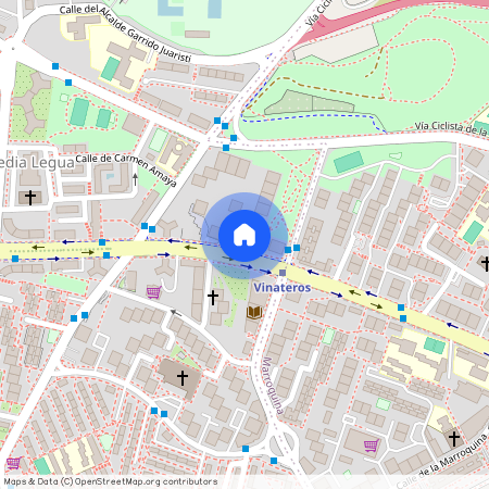 Calle del Camino de los Vinateros 55. 28030, Moratalaz, Madrid