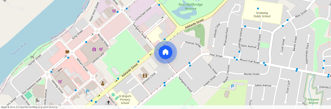 29 Kangaroo Street Raymond Terrace, NSW 2324