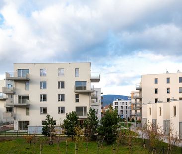 BADEN-LEESDORF I/1-5 - Photo 6