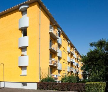 45000027 - Appartement - F3 - Pfastatt (68120) - Photo 1