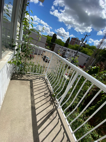 Style Manor - Photo 3