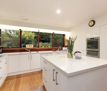 57 Cratloe Road, Mount Waverley VIC 3149 - House For Rent | Domain - Photo 3