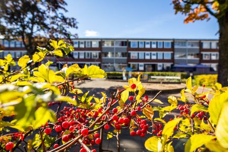 Idrottsgatan 11, Ektorp - Photo 3