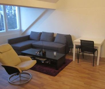 Bel appartement récent dans les combles - Photo 1
