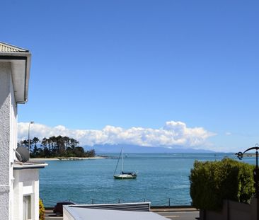 2/411a Wakefield Quay (ground floor), Stepneyville, Nelson - Photo 5