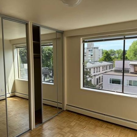 Brand New Renovated Large One Bedroom (Vancouver) - Photo 1