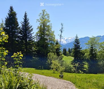 Diskretes Executive Home im Kanton Schwyz - Foto 2