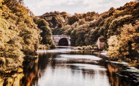 2 Bedroom No.1 - Photo 5