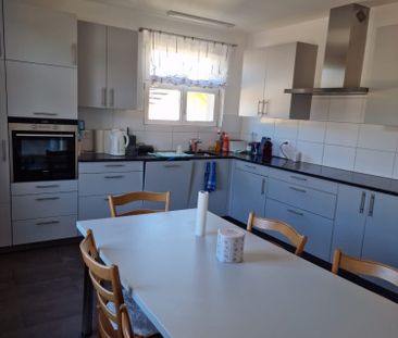 sehr grosse wohnung zu vermieten - Foto 2