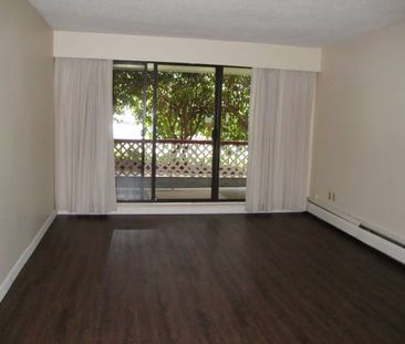 1 BDR-Welcome to Pine Manor clean & professionally managed - Photo 1