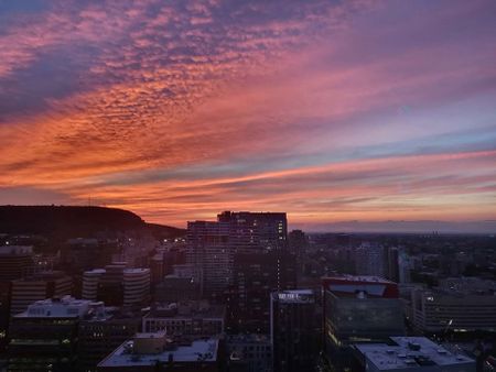 Unit 3401: Entire unit - Photo 4