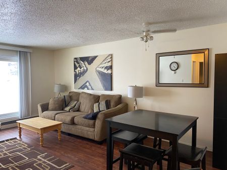 Green Glen B – 1 Bedroom Furnished - Photo 2