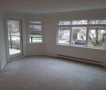 2-Bedroom 2BATH in Whiterock - Photo 3