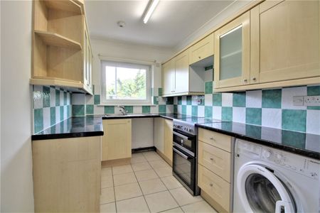 2 Bedroom - Photo 5
