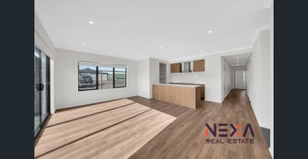 3 Beds, House for Rent in Donnybrook - Photo 3