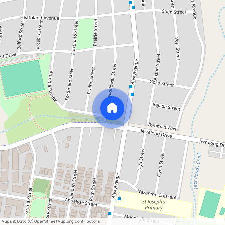 55 Wildflower Avenue, NSW 2762, Schofields