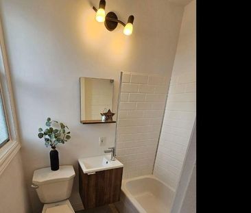 1 CH - 1 SDB - Montréal - $1,250 /mo - Photo 4