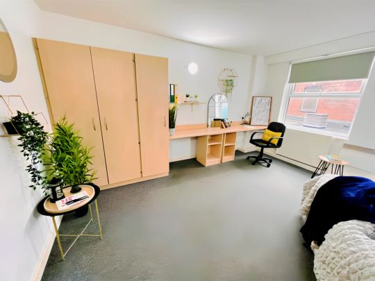 Deluxe Studio - Photo 1