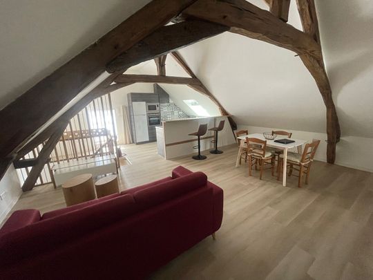 Location appartement 1 pièce, 41.00m², Donnery - Photo 1