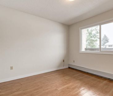 Renovated Suite - 2 Bedroom - Photo 2