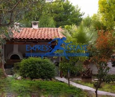 Διαμέρισμα για ενοικίαση Περιβόλια (Ραφήνα) - Photo 6