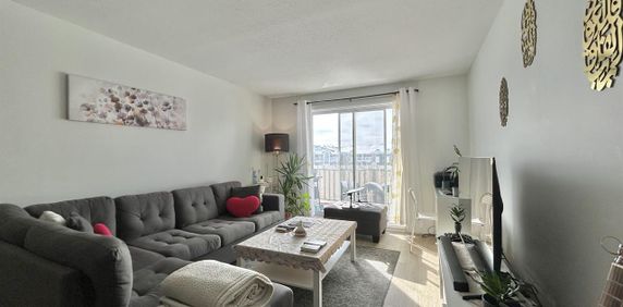 Antoine-du Verdier Appartement 4 ½ à Louer Sainte-Foy / Sillery Juillet 2026 - Photo 2