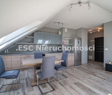 Piła, Zamość - Photo 2