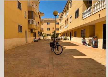 Piso de alquiler en Calle Región de Murcia, Formentera del Segura - Photo 4