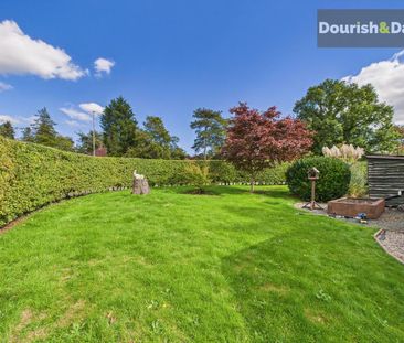 2 bedroom detached bungalow to rent - Photo 5