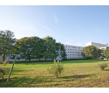 Carl-Schorlemmer-Ring 13 - Am Bruchsee - Foto 1