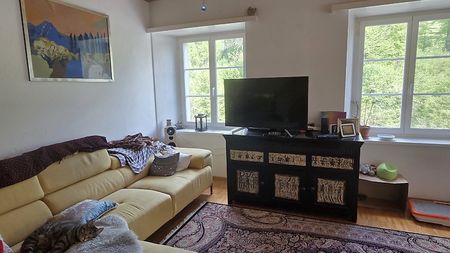 2½ Zimmer-Wohnung in Wädenswil (ZH), möbliert, auf Zeit - Foto 5